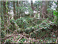 Hut remains in the woods