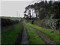 NU1431 : Farm track west of Adderstone Lowmill by Graham Robson