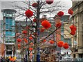 Red Lanterns on St Mary