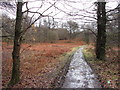 Footpath near Aberbargoed