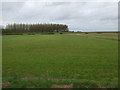 Farmland towards Billinghay Skirth