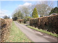 Hill Lane, near Heydon Farm