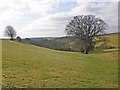 Pastoral view, west of Hill Lane