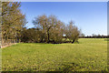 Fields east of Welford Road