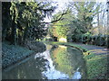 The New River north of Cautherly Lane, SG12