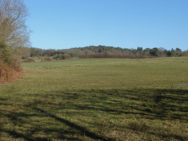 View towards Ambarrow Hill