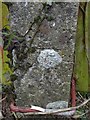 Benchmark on concrete postbox post near Wheatsheaf Farm