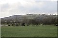 Field on the edge of Longridge