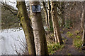 A path alongside the reservoir