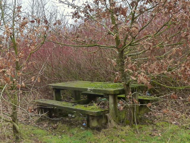 Unloved picnic bench, Ashton Road, Billinge