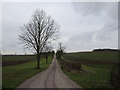 Roadway to Park Farm