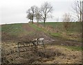 Disused gate