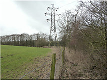 SD5501 : Footpath between Sandyforth Farm and Cranbury Ley Farm by Gary Rogers