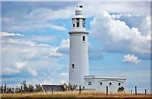 SZ3189 : Keyhaven: Hurst Lighthouse by Mack McLane
