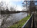 The River Lagan above Ormeau Bridge