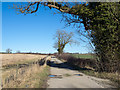 Public footpath along access road for Standalone