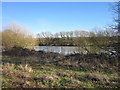 Lake At Harlaxton Manor