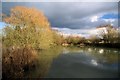 Fishpond near Sascombe Vineyards