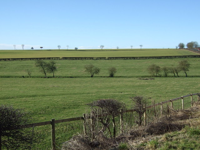 Farmland Near New Inn Farm Ruston Parva © Jthomas Cc By Sa20