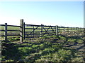 Field entrance off the A614