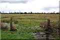 SJ4151 : Gate and farmland near Holt by Jeff Buck
