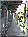 Scaffolding on Lawn Street