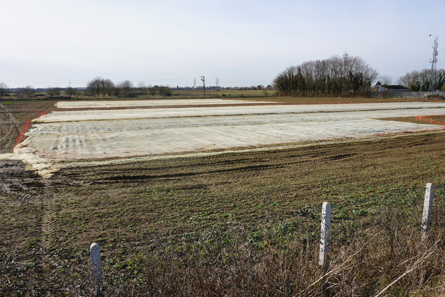 Flat farmland near Histon