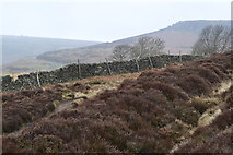 SK2581 : Edge of Hathersage Moor and the end of Higger Tor by David Martin