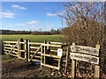 Circular walk start at Ankerwycke Farm