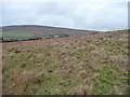 Looking towards Blackhill House, Lingbar