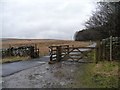 Cattle grid, Hardings Lane