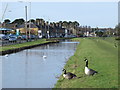 The New River south of Ware (2)