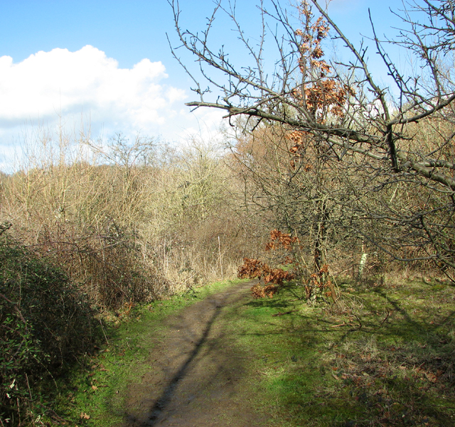 To Swardeston Common on the Tas Valley... © Evelyn Simak cc-by-sa/2.0 ...