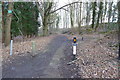 Public footpath into the woods from public house