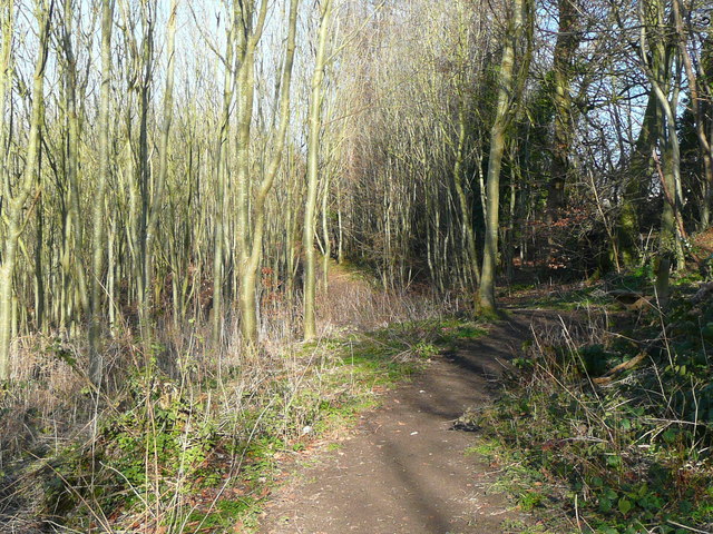 Path in the Western Hills Nature Reserve