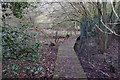 Boardwalk on footpath