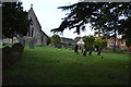 Graves, Church of St John the Baptist