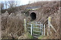 Stile and tunnel to Mickle Trafford