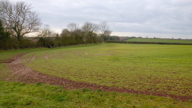 Corner of an arable field