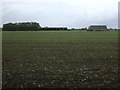 Crop field off North Forty Foot Bank