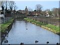 The New River by London Road (A119) in Ware