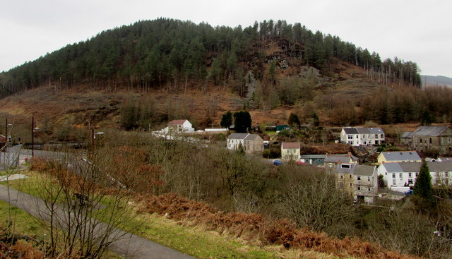 Wooded hillside, Cymmer