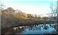 Pant-y-Llyn Turlough