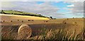 W6654 : Hay Bales near Belgooly by Hywel Williams