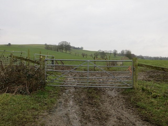 Muddy gateway, Bagginslye