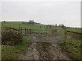 Muddy gateway, Bagginslye