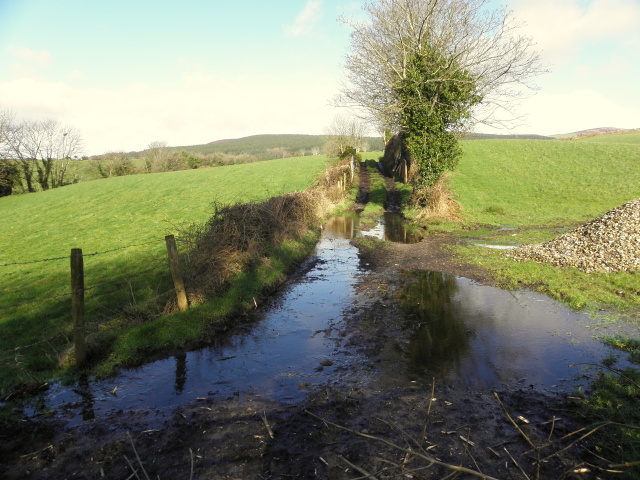 Flooded lane, Elagh
