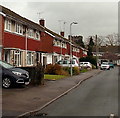 Priory Gardens houses in Usk