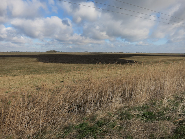 Great Fen habitat creation © Hugh Venables :: Geograph Britain and Ireland