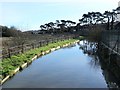 The New River by London Road (A119) in Ware (5)